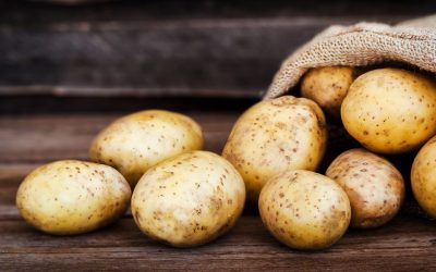 Food that Have Travelled through History Potatoes